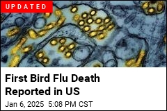 CDC: Louisiana Patient Has First Severe Bird Flu Case in US