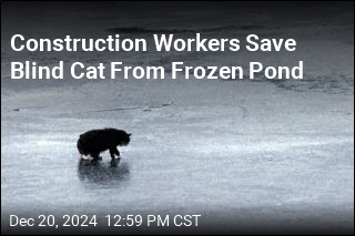 Construction Workers Save Blind Cat From Frozen Pond