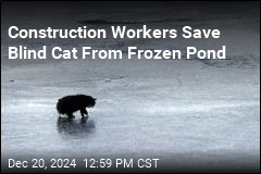 Construction Workers Save Blind Cat From Frozen Pond