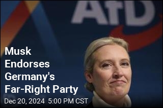 Musk Post Endorses Germany's Far-Right Party