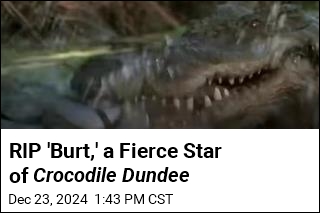 Crocodile Dundee Croc &#39;Burt&#39; Dies at 90