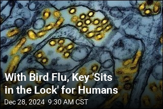 CDC: Mutations in Louisiana Bird Flu Patient &#39;Concerning&#39;