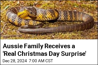 Aussie Family Receives a &#39;Real Christmas Day Surprise&#39;