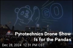 Hong Kong&#39;s Drone Show Is for the Pandas