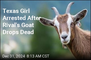 Texas Girl Arrested After Rival&#39;s Goat Drops Dead