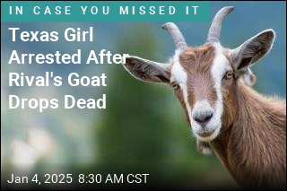 Texas Girl Arrested After Rival&#39;s Goat Drops Dead