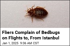 Fliers Complain of Bedbugs on Turkish Airlines Flights