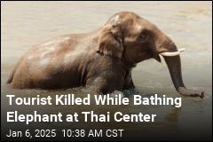 Tourist Killed by Elephant She Was Bathing