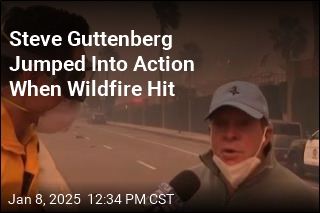 Steve Guttenberg Jumped Into Action When Wildfire Hit