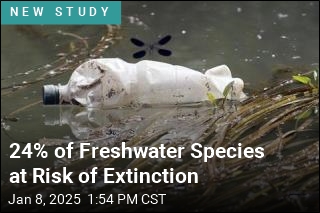 1 in 4 Freshwater Species at Risk of Extinction