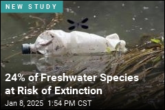 1 in 4 Freshwater Species at Risk of Extinction