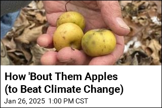 How &#39;Bout Them Apples (to Beat Climate Change)