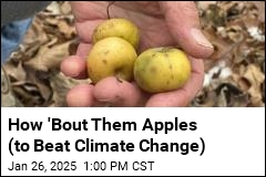 How &#39;Bout Them Apples (to Beat Climate Change)