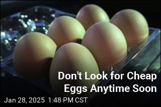 Hoping for Return of Cheap Eggs? Don&#39;t Hold Your Breath