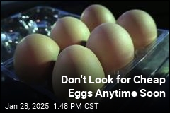 Hoping for Return of Cheap Eggs? Don&#39;t Hold Your Breath