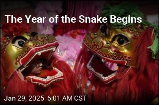 The Year of the Snake Gets Underway