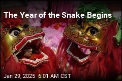 The Year of the Snake Gets Underway