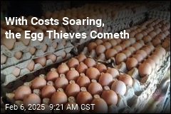 Someone Just Stole $40K Worth of Eggs