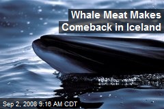 Whale Meat Makes Comeback in Iceland