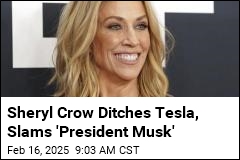 Sheryl Crow Publicly Ditches Her Tesla