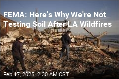 FEMA: Here&#39;s Why We&#39;re Not Testing Soil After LA Wildfires