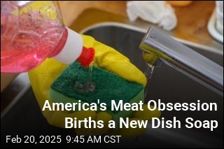 Why This New Dish Soap? Lots of Cheesy Meat Dishes