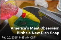 Why This New Dish Soap? Lots of Cheesy Meat Dishes