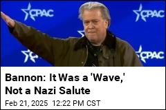 Bannon: It Was a &#39;Wave,&#39; Not a Nazi Salute