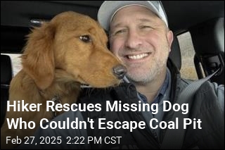 Hiker Rescues Missing Dog Who Couldn&#39;t Escape Coal Pit