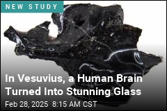 How a Human Brain Transformed Into Stunning Glass