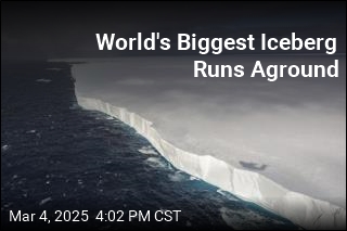 World&#39;s Biggest Iceberg Runs Aground