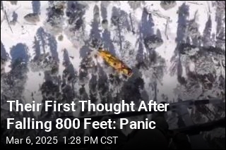 Their First Thought After Falling 800 Feet: Panic