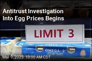 Antitrust Investigation Into Egg Prices Begins