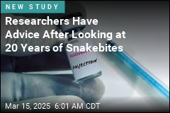 Researchers Have Advice After Looking at 20 Years of Snakebites