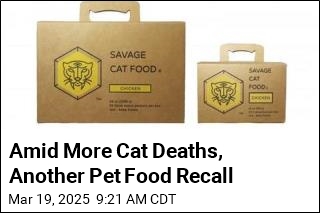 Amid More Cat Deaths, Another Pet Food Recall