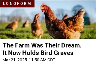 He Survived Cancer, Bought a Farm. Then Bird Flu Hit