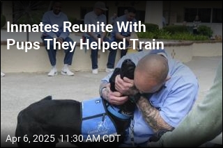 Inmates Reunite With Pups They Helped Train