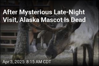 After Mysterious Late-Night Visit, Alaska Mascot Is Dead