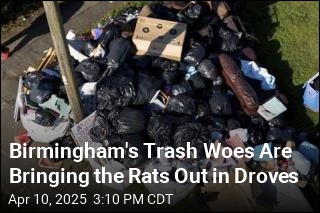 Birmingham&#39;s Trash Problem Turns Into a Rat Problem