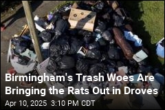 Birmingham&#39;s Trash Problem Turns Into a Rat Problem