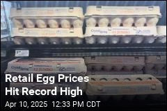 Egg Prices Soar to $6.23 Despite Wholesale Drop