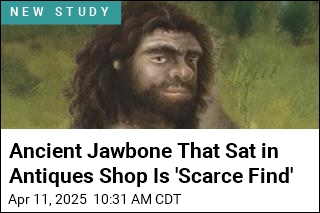 Scientists Stumble on Jawbone From Enigmatic Ancestors