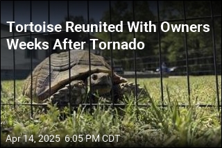 &#39;Tornado Tortoise&#39; Reunited With Owners