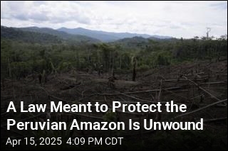 A Law Meant to Protect the Peruvian Amazon Is Unwound