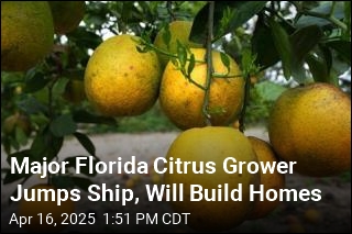 Major Florida Citrus Grower Jumps Ship, Will Build Homes
