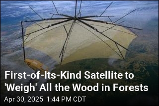 First-of-Its-Kind Satellite to &#39;Weigh&#39; Earth&#39;s Trees