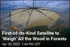 First-of-Its-Kind Satellite to &#39;Weigh&#39; Earth&#39;s Trees
