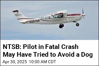 NTSB: Pilot in Fatal Crash May Have Tried to Avoid a Dog