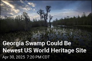 Okefenokee Swamp Could Get World Heritage Status
