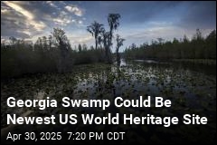 Okefenokee Swamp Could Get World Heritage Status